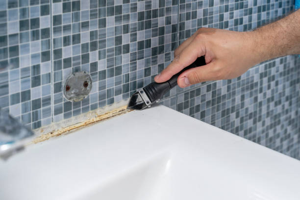 Rock Hill, MO Mold Remediation Company